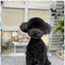 가위로마법처럼 이미지