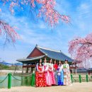 한국사역사지도사 이미지