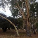 웨스턴헤이(주) 이미지