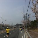 나주 영산강 마라톤 대회 참가 - 노지연법률사무소