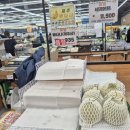 제주감귤농업협동조합 (거점)농산물산지유통센터(6유통) | 제주도 2박 3일- 1.제주시 농협 농산물 공판장, 스마트 APC 현장