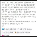 나무를품다