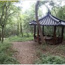 신서-2 이미지