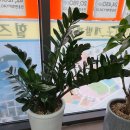 중산공인중개사사무소 이미지