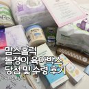 짐홀릭 | 맘스홀릭 돌쟁이 육아박스 당첨 및 수령후기