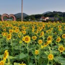 양정달마루마을 이미지