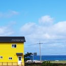 방배중앙로3길 19-1 | 제주 키즈 펜션 고민 끝! 나무앤씨 키즈 펜션 내돈내산 2박 3일 후기 (주변 여행지/편의시설 포함)