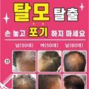 다임헤어컴퍼니