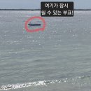 산호쉼터 | 세부 막탄 호텔 숙박 비교 후기: 두짓타니 vs 더리프 아일랜드 (광고X, 내돈내산)