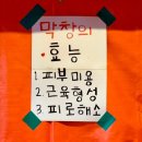 목동 대구돼지막창 찐 맛집 포장마차 감성 목동꿀막창 방문 후기