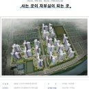 더샵건축 이미지