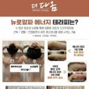 더다옴 이미지