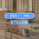 둔내김밥 | KTX 이음 노선 청량리에서 묵호 가는 법! 시간표 가격