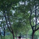 금광동 145 이미지