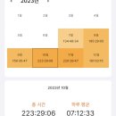 중앙대 편입 합격 후기 🐲💙ㅣ일반문과 5관왕, 비동일계, 공부팁&amp;기출점수공개