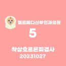 엘르산부인과의원 네이버블로그