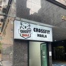 크로스핏코알라 이미지