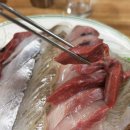 서귀포 올레시장횟집 올레수산회센터 후기 및 주차정보