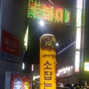 대가집육회 Daum카페