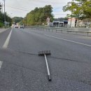 대해로 3 이미지