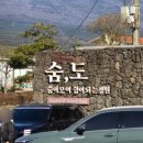 나만 아는 봄꽃 여행지 | 제주 서귀포 동백꽃 가득인 명소 / 겨울 여행지 추천 숨도정원, 귤림성