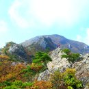 10월 21일 (토) 신불산 공룡능선 억새평원 산행안내 및 예약 이미지