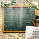 강남역 포차 현지느낌 그대로 술집 베트남이랑에서 쌀국수 후기