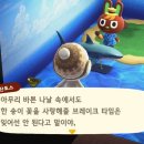 느리듯