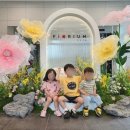 풀잎어린이집 이미지