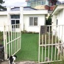 선흘 언니네 이미지