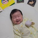 복둥이농장 | 블루래빗 오감발달 첫 놀잇감 한달 찐 후기