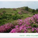 덕두산 Daum카페