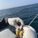 제주도이호바다배낚시체험 이미지
