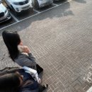 아리씨 이미지