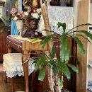 보성군보건소 3층 화장실 | [전남 보성]코리아나돈가스 | 추억의 옛날돈가스