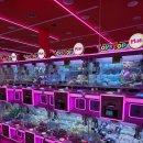 싱통방통 인형뽑기방 이미지