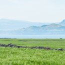 국토개발공인중개사사무소 이미지