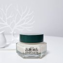 백년사슴 이미지