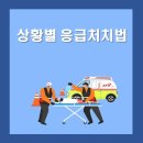 주식회사 스콜 이미지