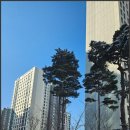 고산지구공인중개사사무소 이미지