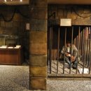 믿거나말거나박물관 이미지