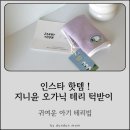 윤프린팅 | 인스타 핫템🩷 지니윤 오가닉 테리 턱받이 🩷 귀여운 아기 테리빕 리뷰