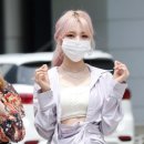 프로믹스 네이버블로그