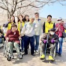 장애인 이미지