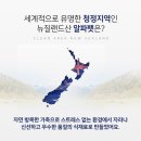 주식회사 기호식품 이미지