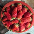 사하구-02 이미지