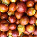 삼형제농장2 이미지