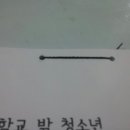 늘품복사 이미지
