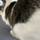 길밭식당