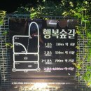 호텔찬스 | [제주 서귀포 숙소] 국군복지찬스로 이용한 서귀포호텔 가격/후기
